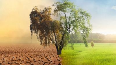 Environmental Impact